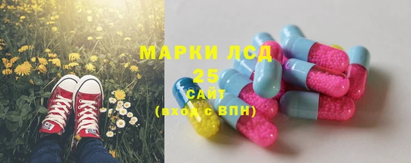 эйфоретик Беломорск