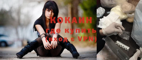ГАЛЛЮЦИНОГЕННЫЕ ГРИБЫ Баксан